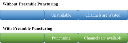 shows the example of the preamble and non-preamble puncturing